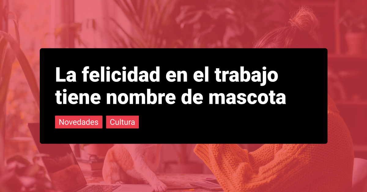 Cover blog Mascota