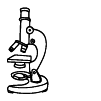 Microscopio