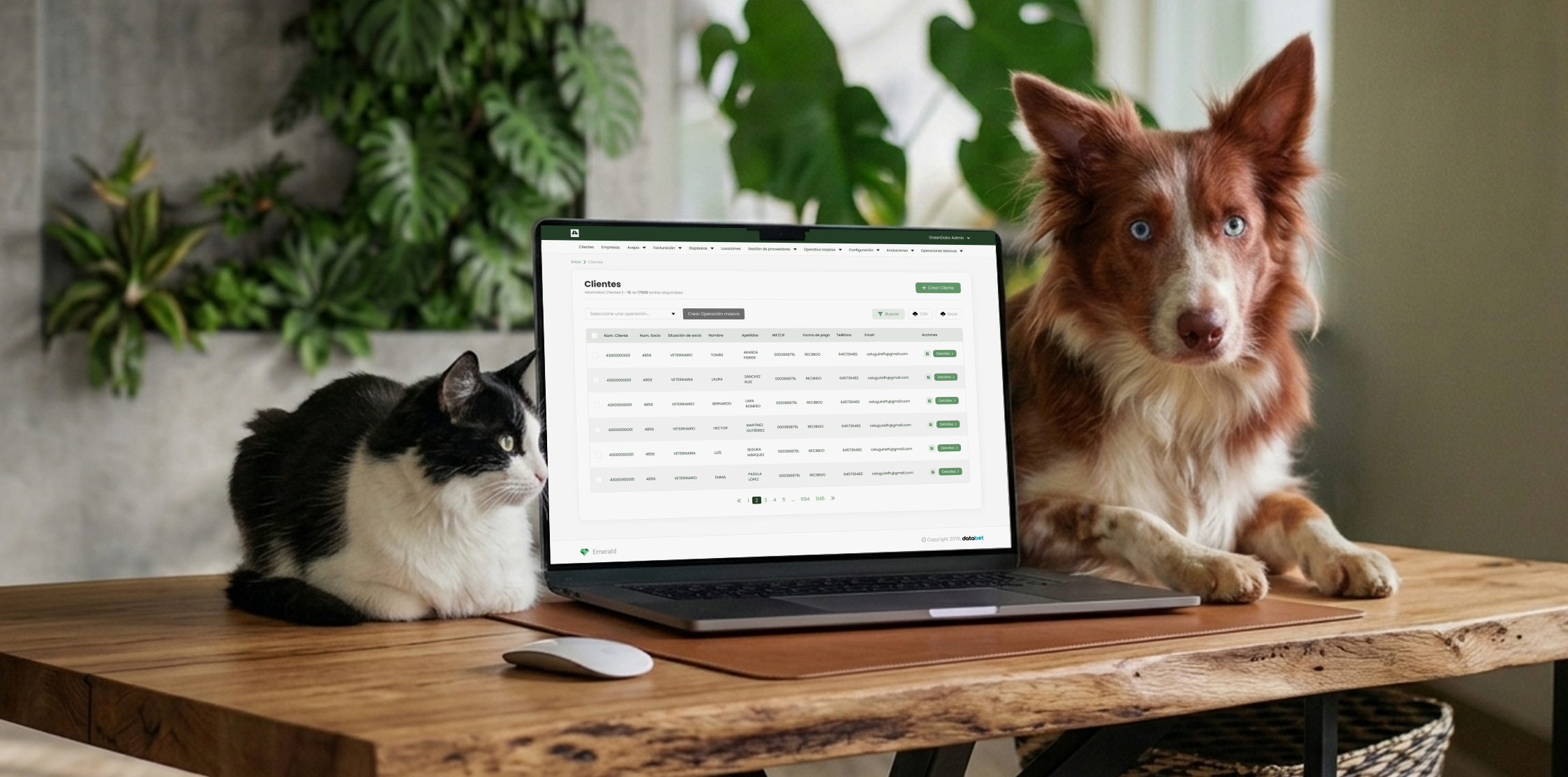 Mockup ERP AVEPA sobre Emerald